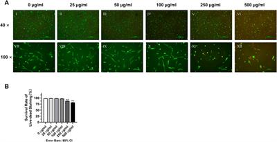 Effect of tetracycline hydrochloride application on dental pulp stem cell metabolism–booster or obstacle for tissue engineering?